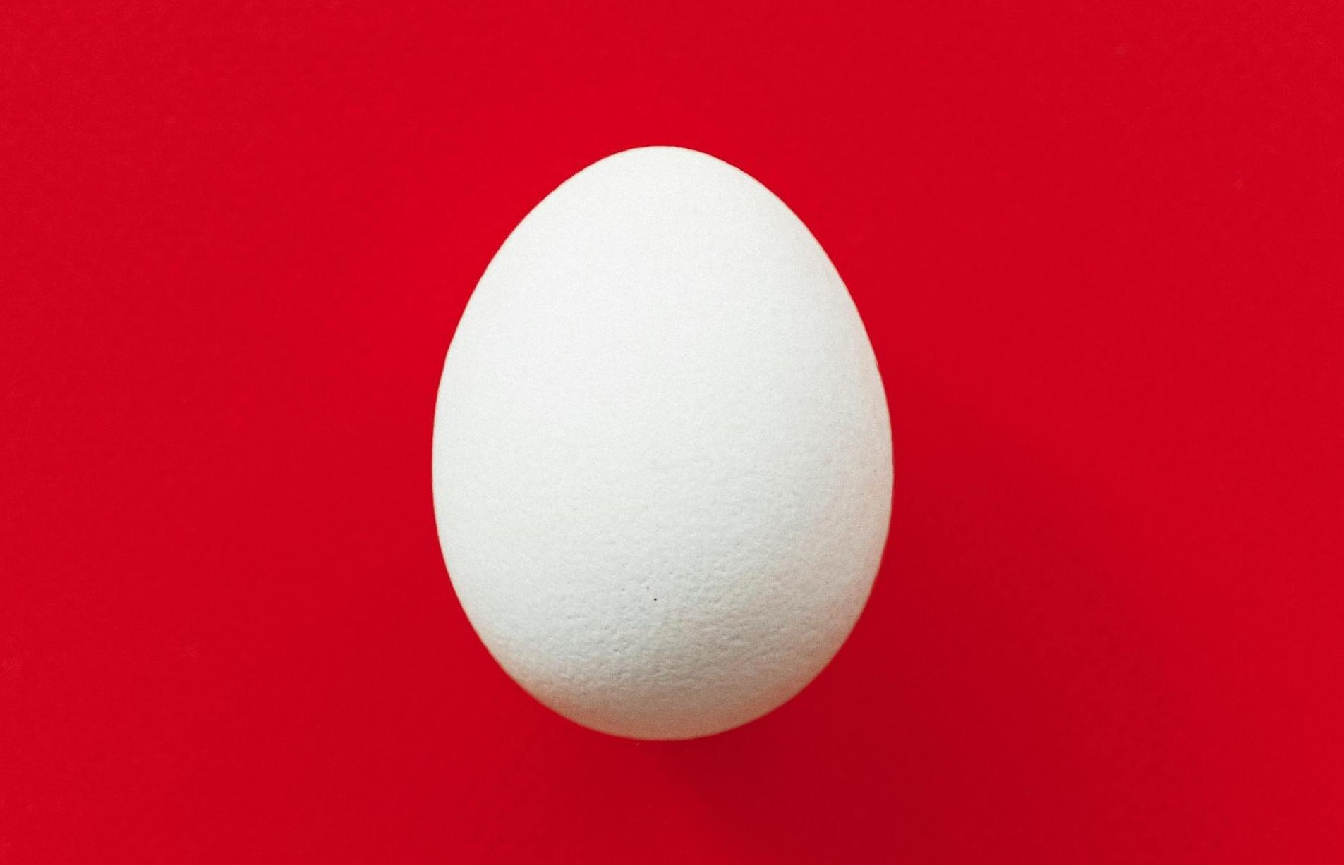 Egg on a Red Background